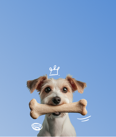 Imagem de fundo para mobile