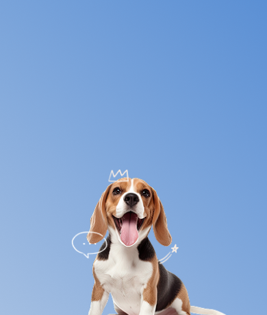 Imagem de fundo para mobile