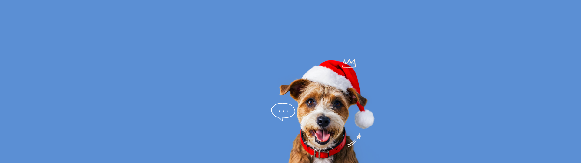 Imagem de fundo de um cão feliz